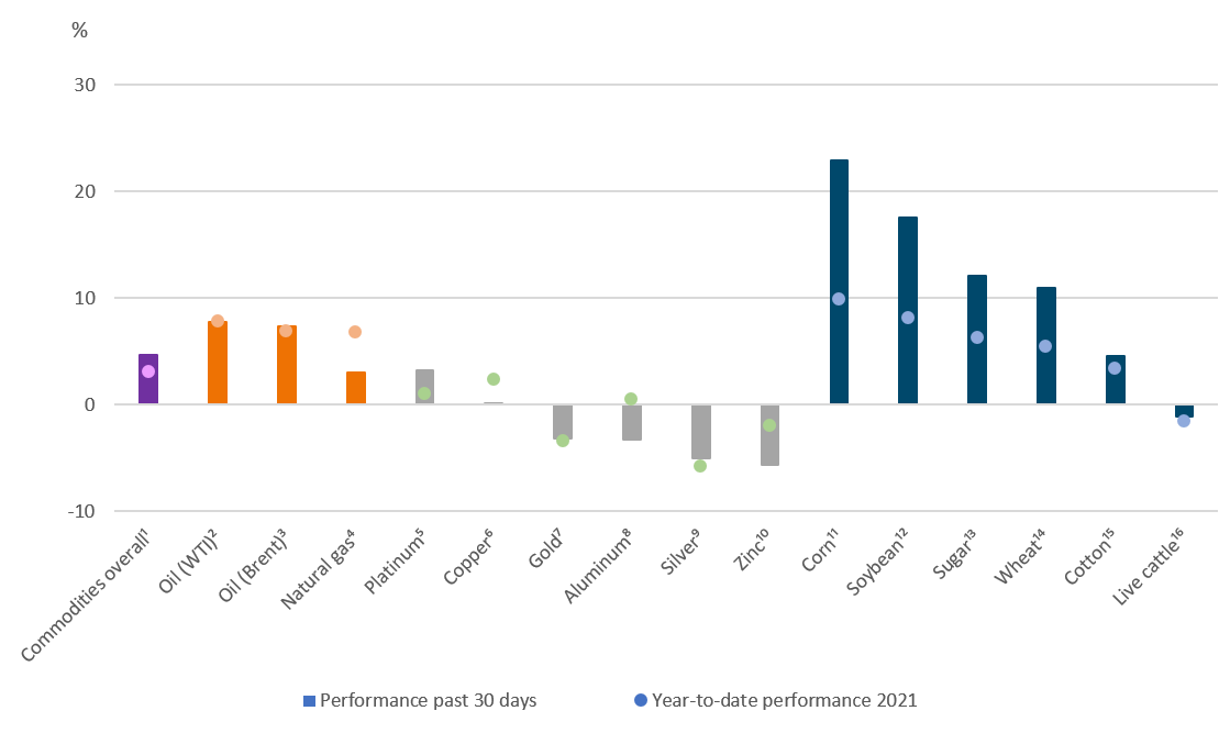 202101_CIO Commodity Commentary_Chart.png