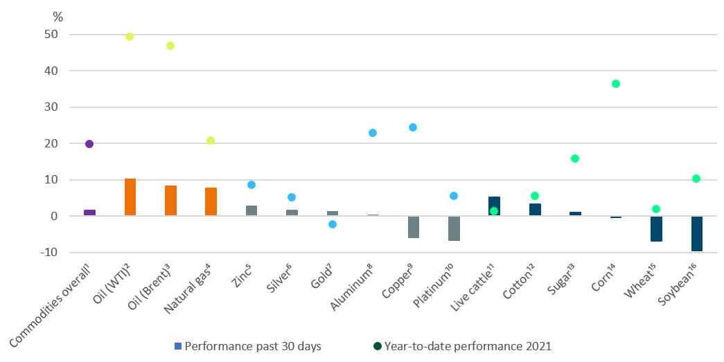 202106_CIO Commodity Commentary.png